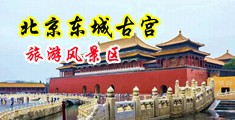 清清草肥婆操逼视频中国北京-东城古宫旅游风景区